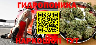 индика Апрелевка