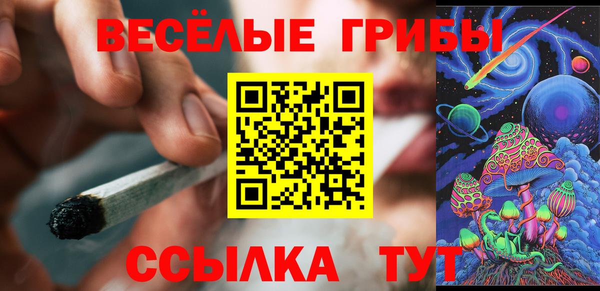 Галлюциногенные грибы Psilocybine cubensis  Вход с VPN  Псилоцибиновые грибы MAGIC MUSHROOMS  Выкса 