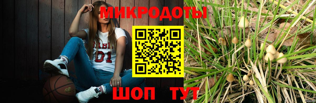 Псилоцибиновые грибы Psilocybe Выкса